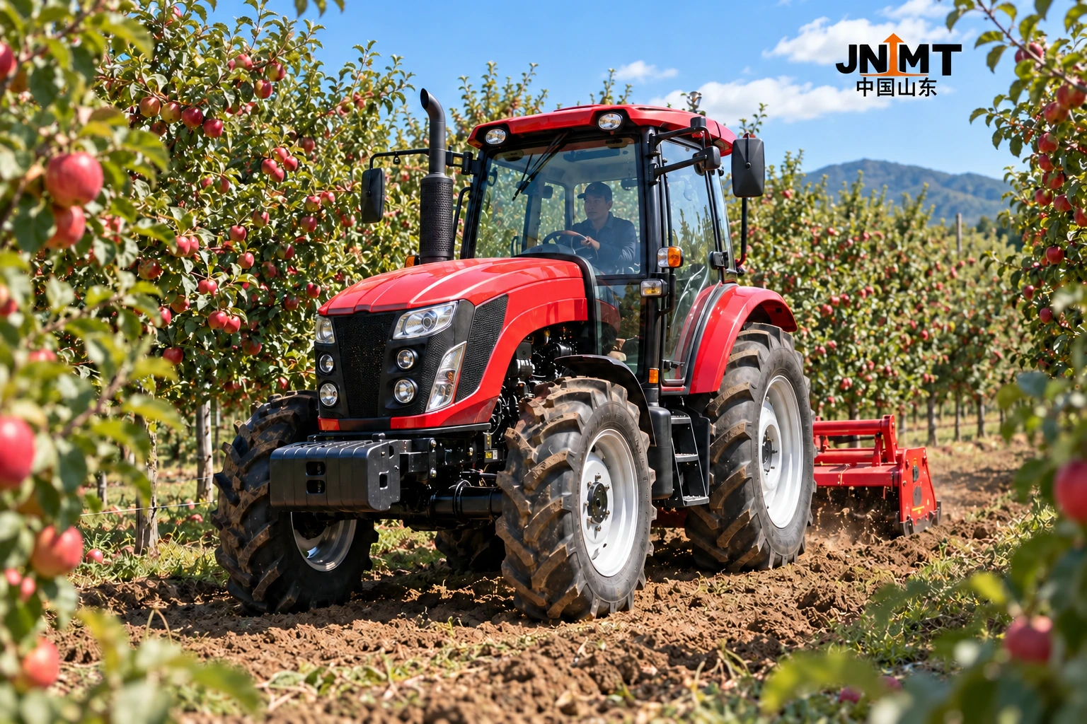 Red tractor between apple orchard rows